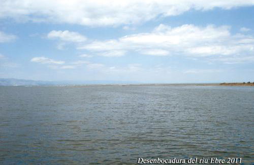 Casa Paxixa - Foto 16