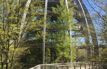 Ferienland Sonnenwald Fewo 46 - Foto 35