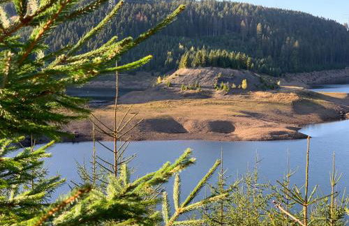 Rennsteig-Pension Trautwein - Foto 51