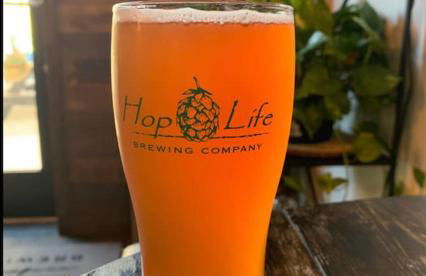 House with Heated Pool near to Florida Beaches - Foto 58