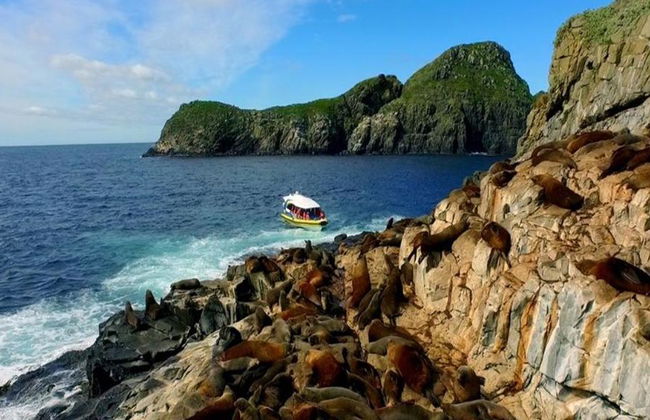 Cruzeiros pela Ilha Bruny - Cruzeiro de 3 horas pela Natureza Selvagem - Foto 4