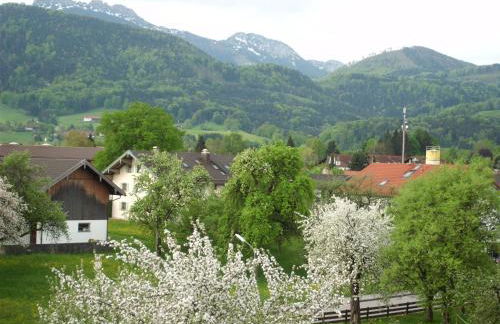 3-Zi Atelierdachwohnung mit Bergblick Seenähe und 2 Loggia - Foto 47