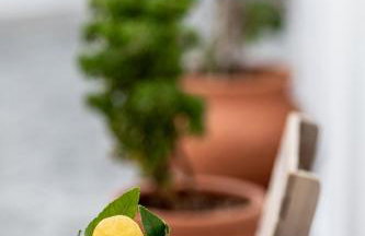 Amarynthos Maisonettes - Photo 25