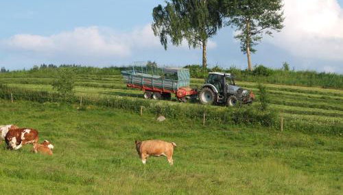 Bauernhof König - Foto 4