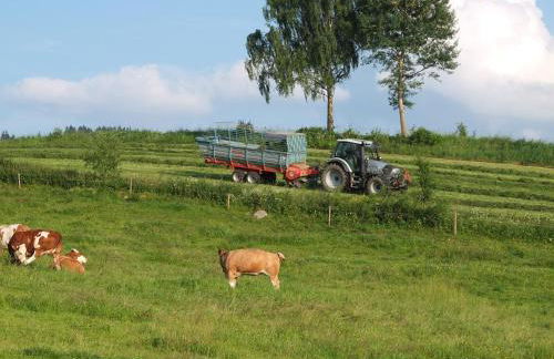 Bauernhof König - Foto 4
