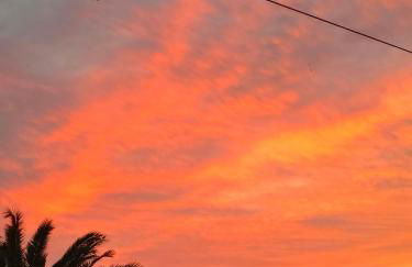 Quetzal, Clim, jardin et parking - Photo 12