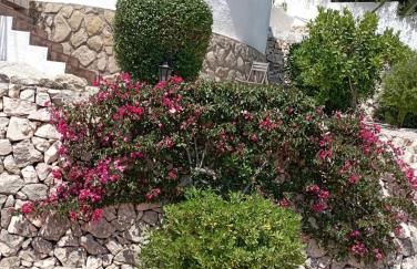 Apartamento los Delfines - Foto 16