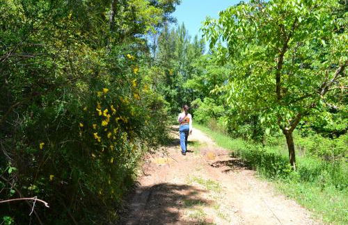 Casas Rurales Camino del Castaño - Foto 37