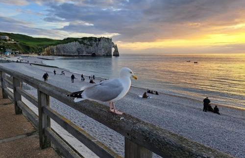 Nouveauté 2026 piscine chauffée - Le gîte de SoleilMapou pour 12 personnes en Normandie près de Fécamp et d'Etretat, idéal grandes tribus, vous pouvez me contacter sur Les gîtes de SoleilMapou - Foto 1