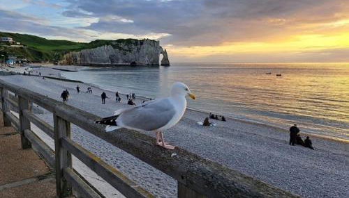 Nouveauté 2026 piscine chauffée - Le gîte de SoleilMapou pour 12 personnes en Normandie près de Fécamp et d'Etretat, idéal grandes tribus, vous pouvez me contacter sur Les gîtes de SoleilMapou - Foto 1