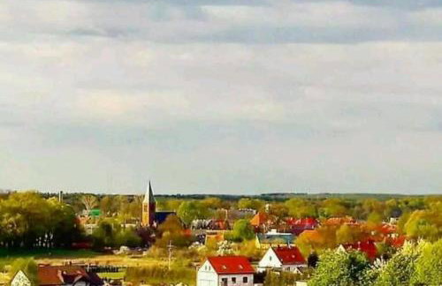 Agroturystyka Zaborski Sad - Foto 43