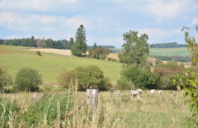 Beautiful Ardennes House in Quiet Area - Foto 22