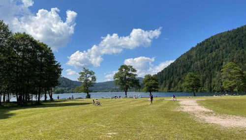 L'écureuil des lacs - Foto 4