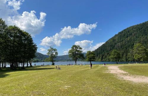 L'écureuil des lacs - Foto 4