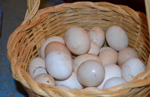 Il Falco Del Cilento - Foto 37