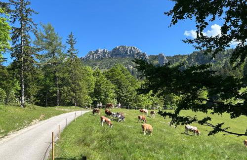Wohlfühlzimmer "Zirbentraum Kampenwand" - Foto 32