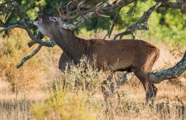 Apartamento Ana Maria - Foto 52