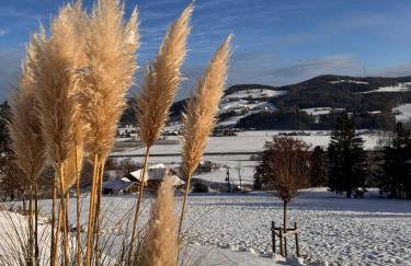 Haus Vogl Anger - Ferienwohnungen mit privater Sauna und beheizten Salzwasser Pool in Panoramalage und Nähe zu Salzburg und Berchtesgaden - Foto 64