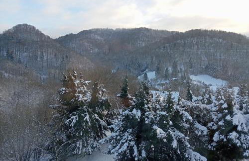 Schöne Aussicht Wieda - Foto 14