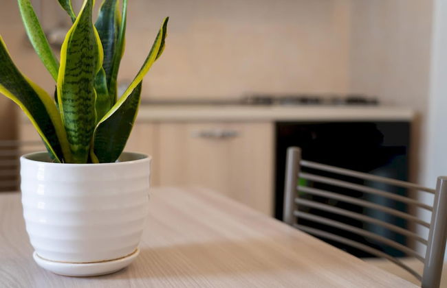 Appartamento 70 in Casalabate - Foto 29