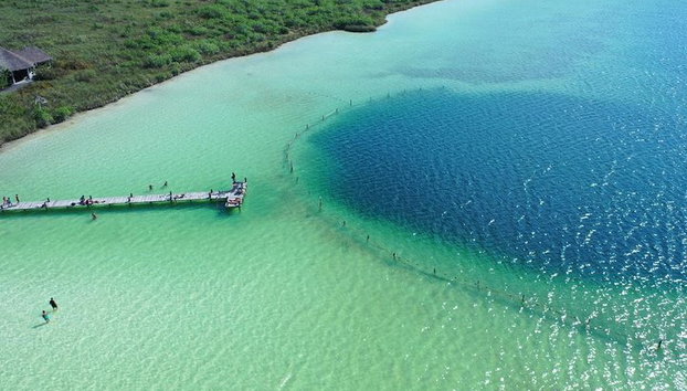 Explora la Selva Maya en Tulum. 2 Cenotes, laguna Kaan Luum - Foto 3, Colores increíbles