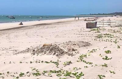 Casa PÉ NA AREIA Paripueira - Foto 10
