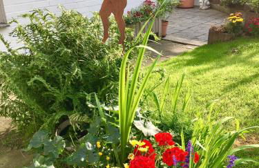 Ferienwohnung Apartment Dettum mit eigenem Bad, Kochnische und Wintergarten - Foto 37