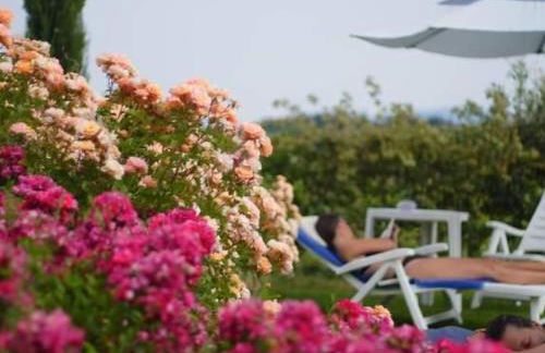 Apartment Panorama wohnung IL GIRASOLE by Interhome - Foto 11