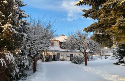 Ferienwohnungen Elsterblick Bad Elster - Foto 45