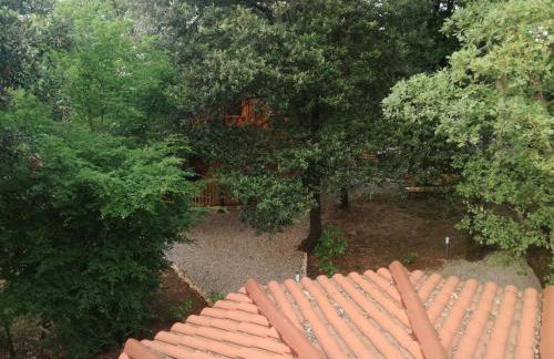 Apartments Barbara - Photo 30