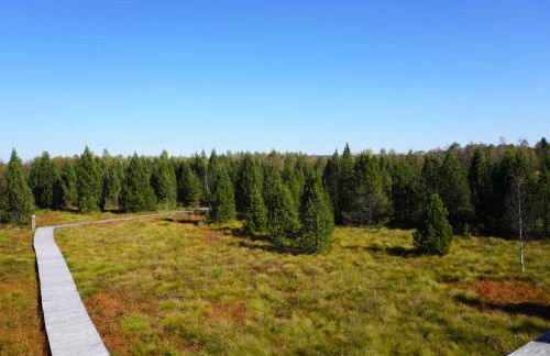 Ferienhaus am Erzgebirgskamm - Foto 25
