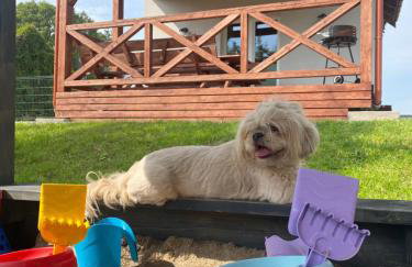 Domki pod Brzózką - Foto 27