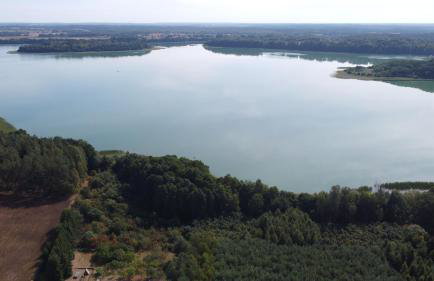 Leśne Domowisko - Foto 23