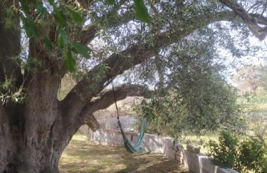 Casa Olea - Photo 47