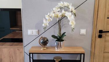 Apartament z basenem i jacuzzi KARMELOWY NA DOLNEJ Green Park Resort A13, ul DOLNA 7A - Foto 5