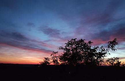 Ferienwohnung Altenstein - Photo 31