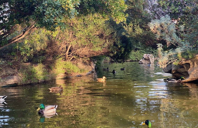 Tour de tuk tuk por Olbia - Foto 2