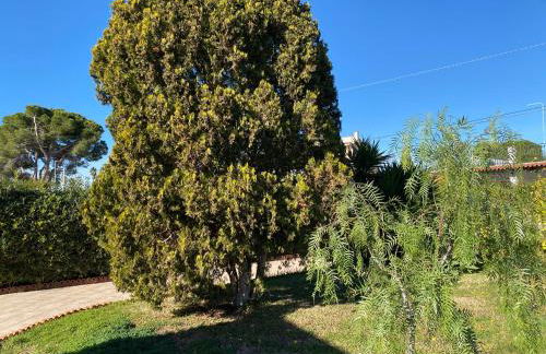 Seaside home - Foto 36