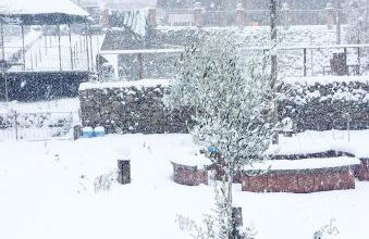 Casa Monte Etna - Foto 13