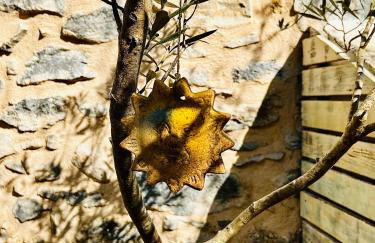 Studio le moulin de Pascale - Foto 24