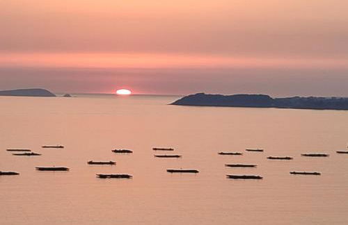 O Noso Lar - Foto 12