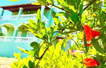 Green Hill House - Foto 1