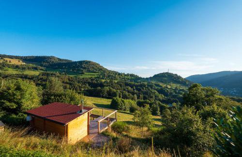 Home - Retour aux sources - Foto 22