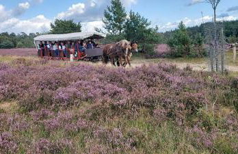 Casa-Flores, um"Schwarzes Gold" zu erkunden - Foto 12
