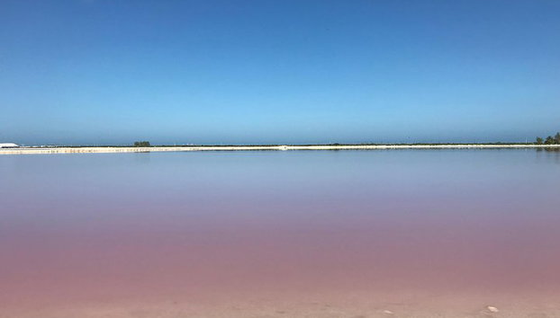 LAS COLORADAS & RIO LAGARTOS de la Riviera Maya et de Cancun (Privé) - Photo 3