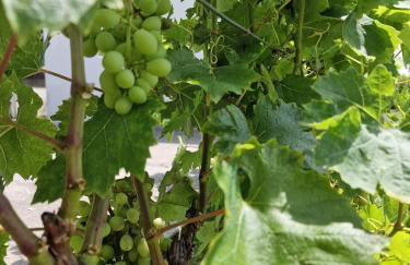 Charming village house with pool - Photo 16