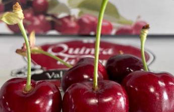 Quinta da Porta - Solar de Vale de Prazeres - Foto 71