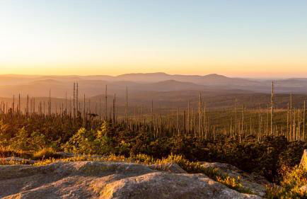 Ferienhaus im Bayerischen Wald - "Lindensalettl" mit Garten und Terrasse - Foto 47