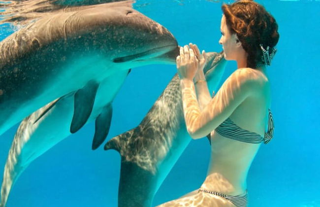 Golden Rod Villa - Foto 15