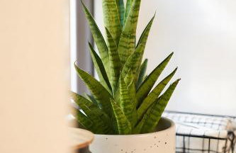 Ferienwohnung Tromei-Hof - Foto 9